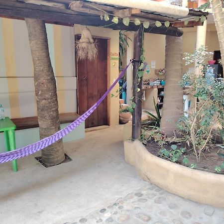 Punta Mar Ξενοδοχείο Brisas de Zicatela Εξωτερικό φωτογραφία