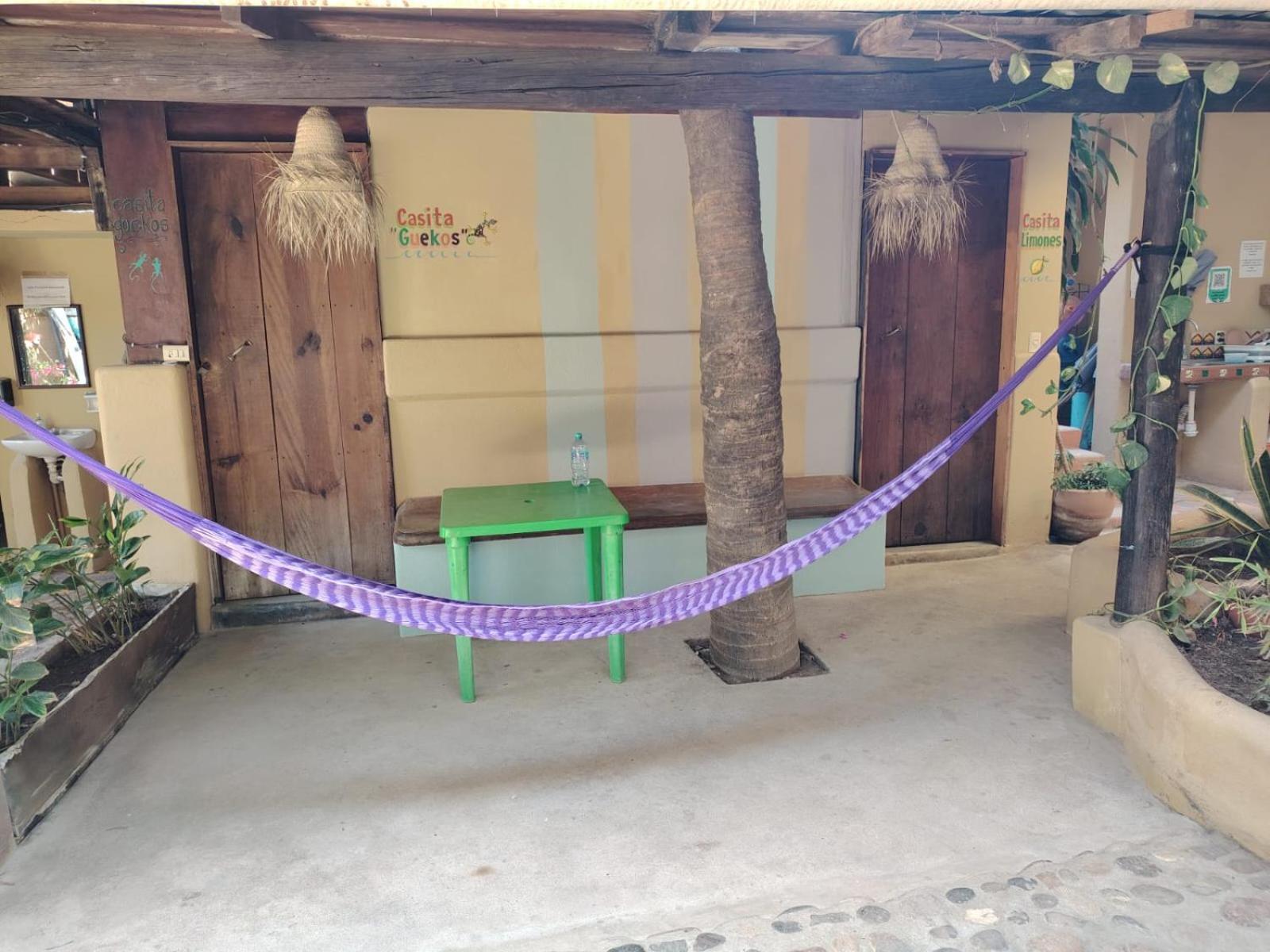 Punta Mar Ξενοδοχείο Brisas de Zicatela Εξωτερικό φωτογραφία