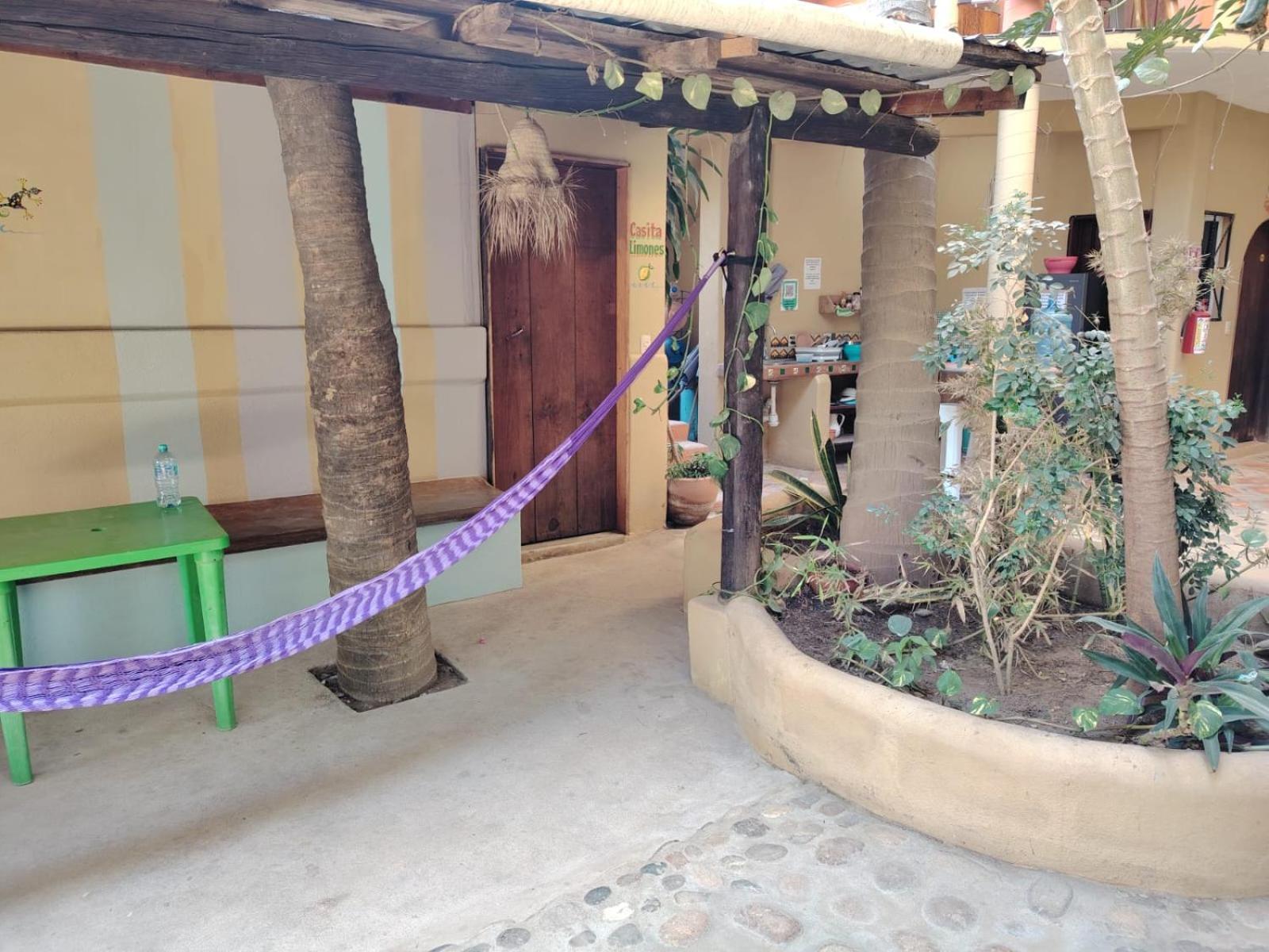 Punta Mar Ξενοδοχείο Brisas de Zicatela Εξωτερικό φωτογραφία